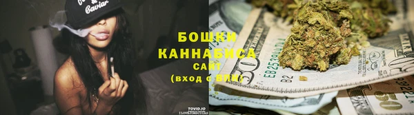 гидропоника Пересвет